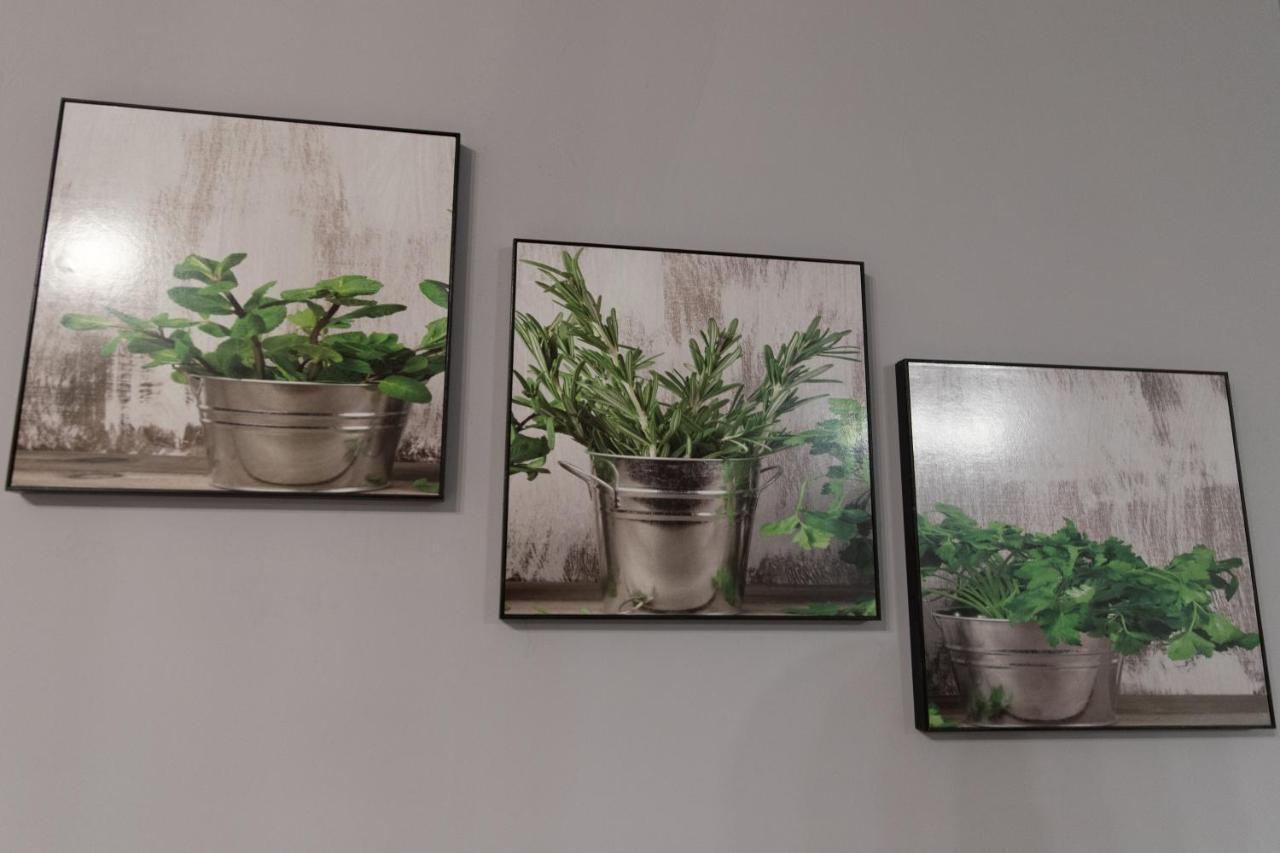 Apartament Marlenka Nysa Esterno foto